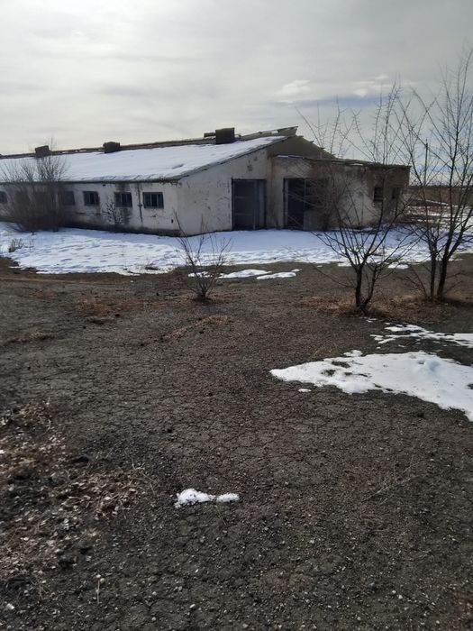 Продам базу рядом с Хоргосом