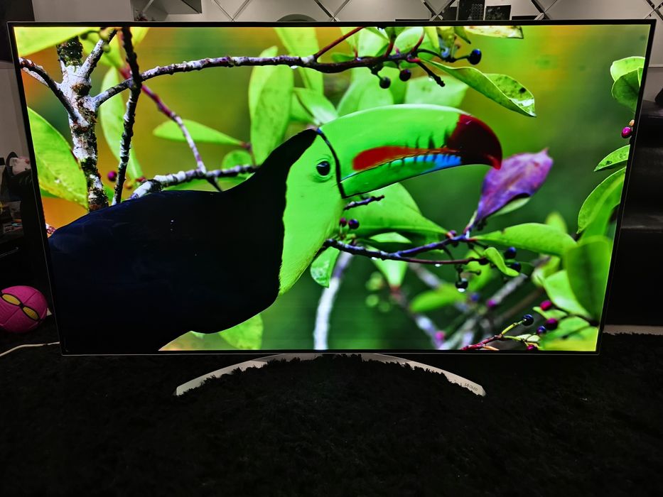 Lg Oled 65"ingi, 164cm diagonala, OLED55B7D