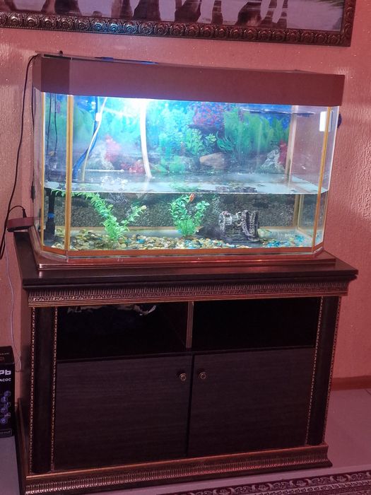 Аквариум 200л  с тумбой и рыбками