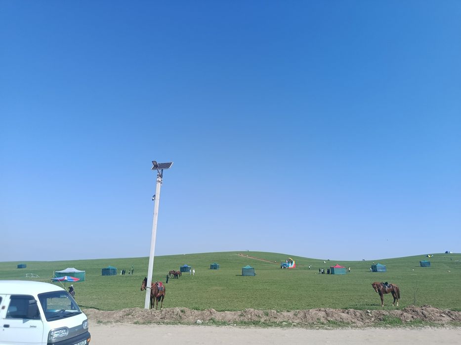 Damas xizmati zakazga yuramiz xizmatlar  boʻsa 24.7