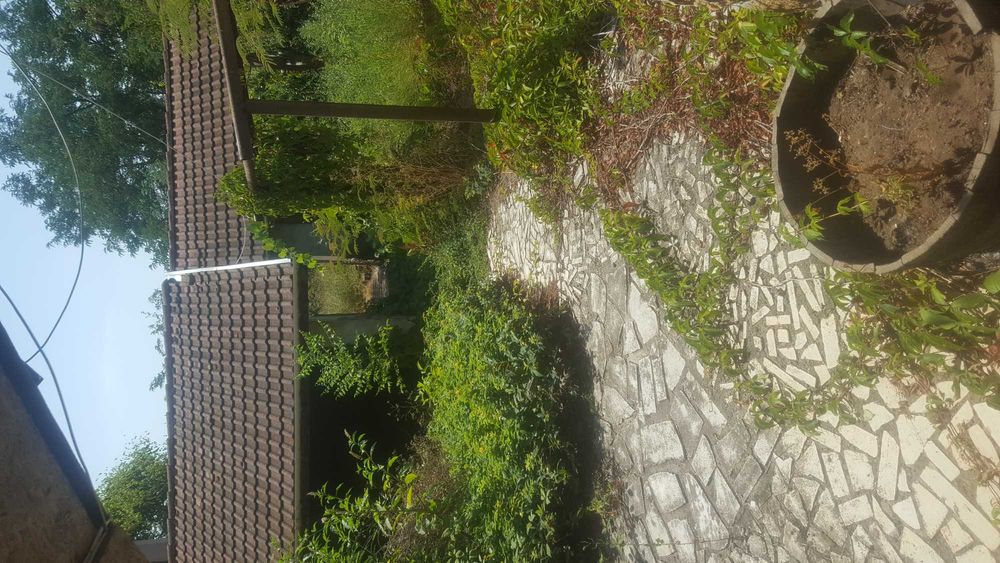 Продава се Къща в с. Сливовица, Област Велико Търново - 100 кв.м за 77 €/кв.м - Снимка #2