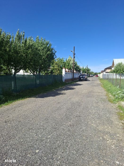 Cornetu, Teiului, Stradal