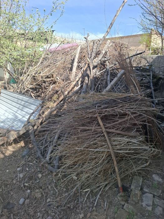 Утин Oʻtin mayda Дрова мелкая