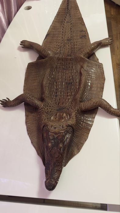 Кракодильчик игрушка