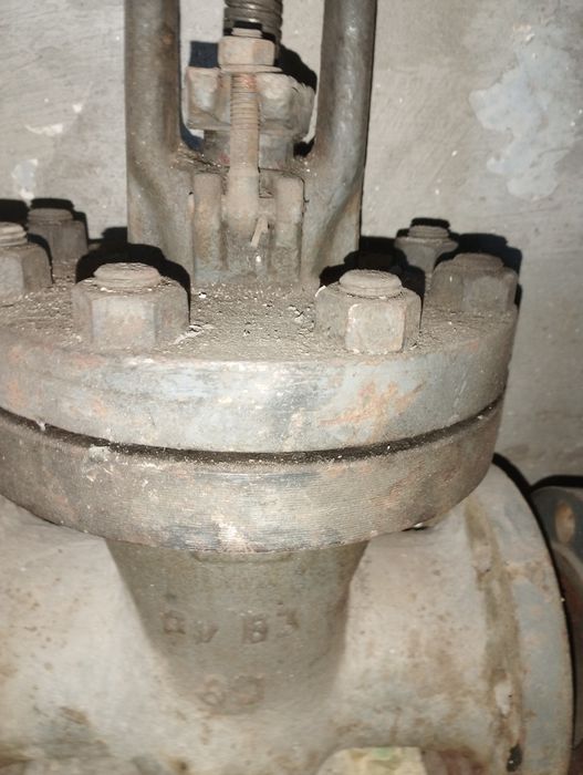 Задвижка стальная 80мм