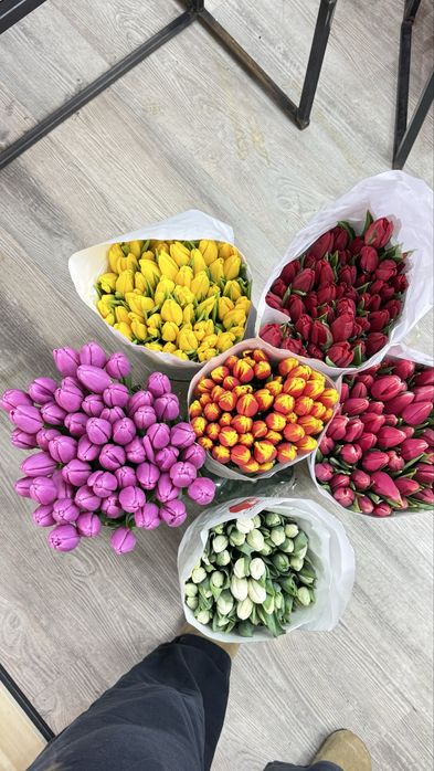 Тюльпаны в розницу
