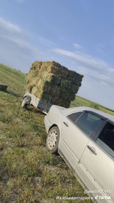 Прицеп левковой 500 кг дейін категория в
