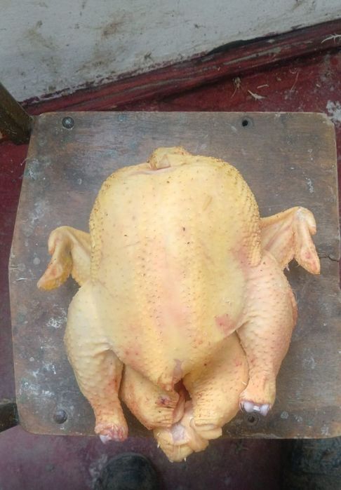 Свежий тауық еті сатылады