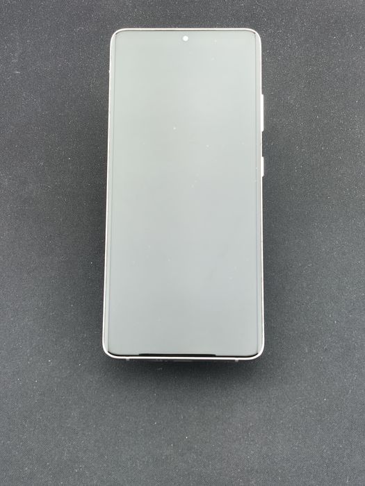 Samsung Galaxy S21 Ultra  256 GB-tgv420