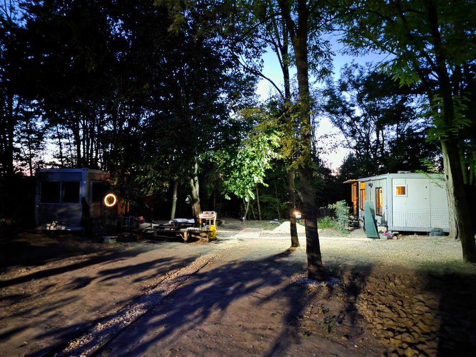 Proprietate cu potențial de retreat / glamping, 2.600 mp, pădure și acces la baltă – 35 km de București