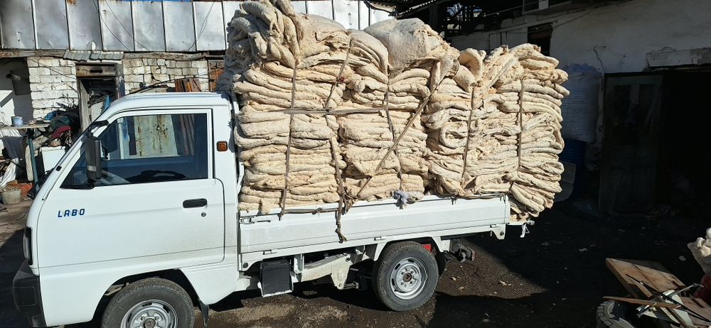 Paxta olamiz eski kurpa tushaklani olib ketamiz