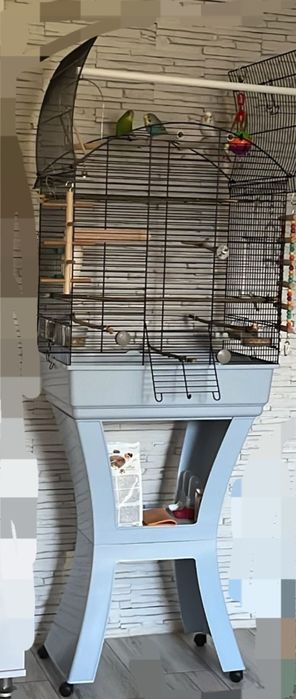 Colivie pentru papagali