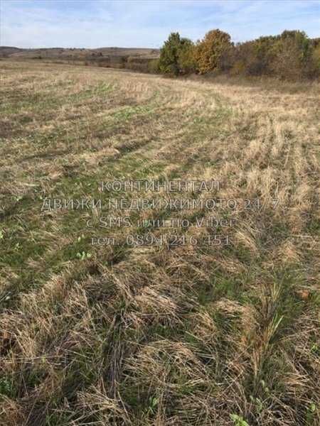 Продава се Парцел в с. Драгомир, Област Пловдив - 19600 кв.м за 1 €/кв.м - Снимка #6