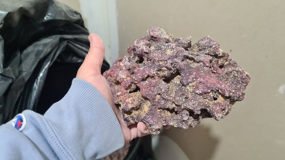 Piatra (Roca) marina Caribsea