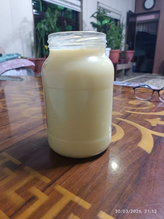 Sariq yogʻ saryogʻ sariyoq saryogʻ