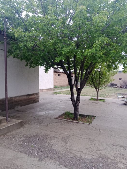 Үй сатылады срочно