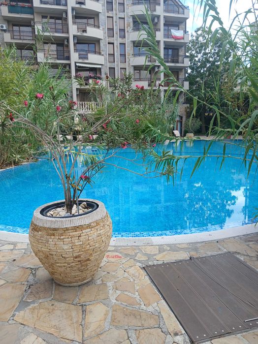 Продава се Едностаен апартамент в Несебър - 32 кв.м за 1438 €/кв.м - Снимка #1