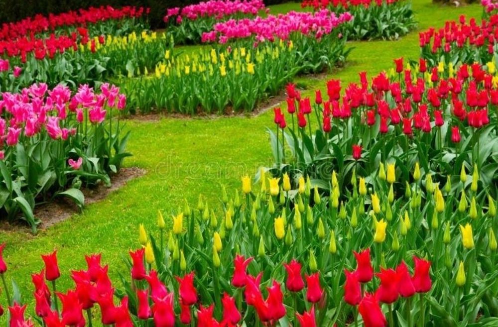 Массаж релакс...