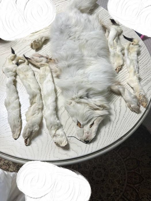 Мех натуральный л