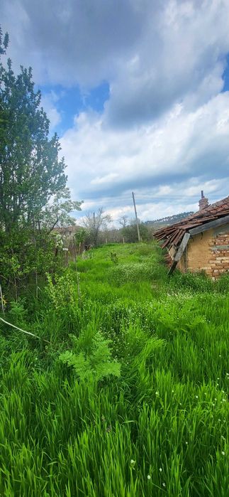 Продава се Земеделски имот в с. Княжево, Област Хасково -  кв.м за 6 €/дка - Снимка #4