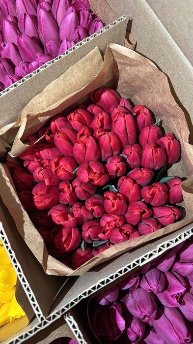 Тюльпаны с оформлением 700 тг.