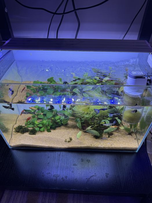 Аквариум комплект