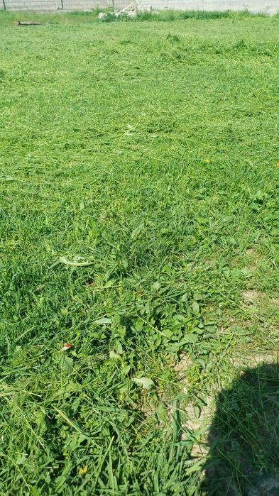 Шоп орамыз номерге жазыңыз.