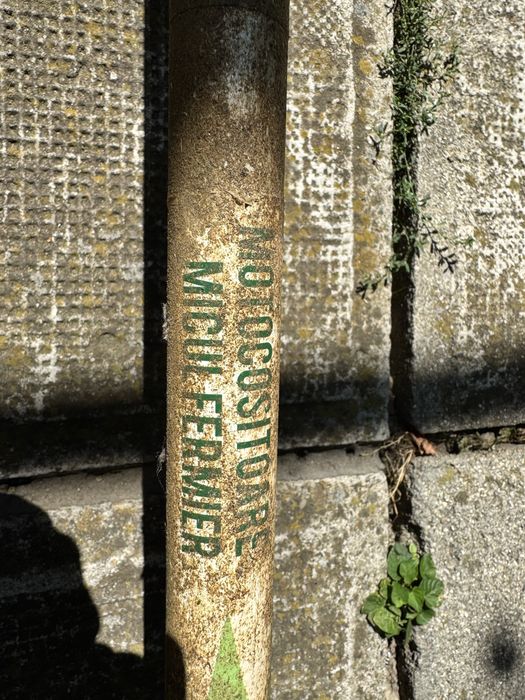 Motocositoare pe benzina