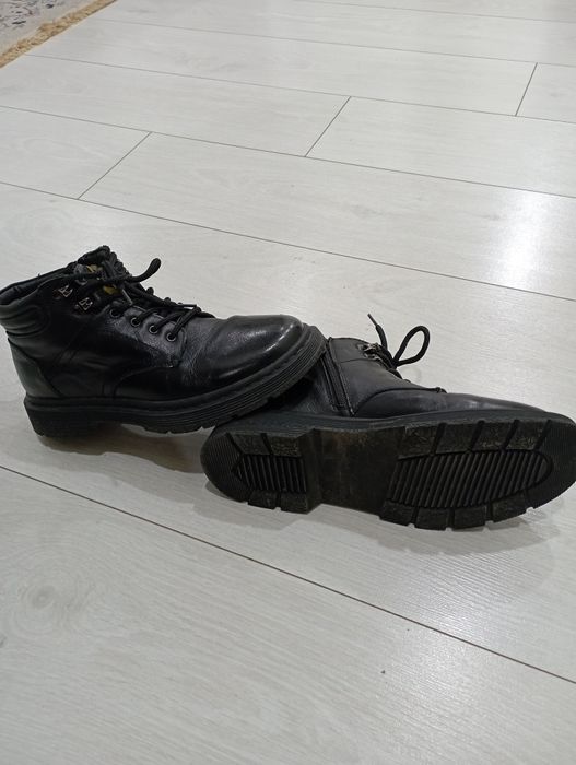 Продаю Кожаные собаки