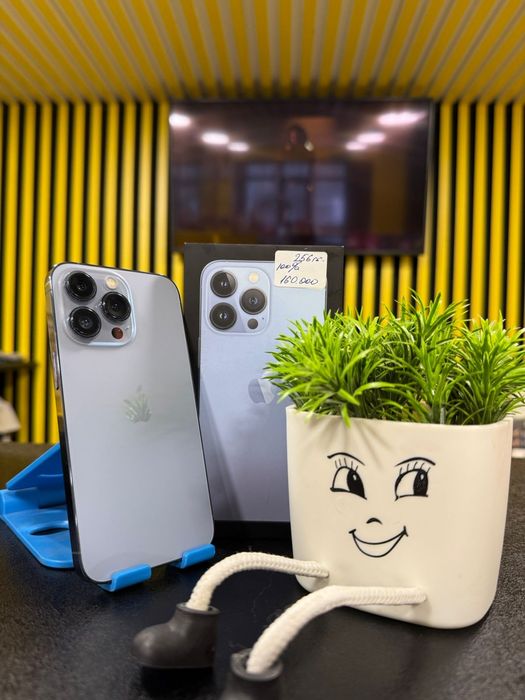 IPhone 13pro, 256GB, 100%