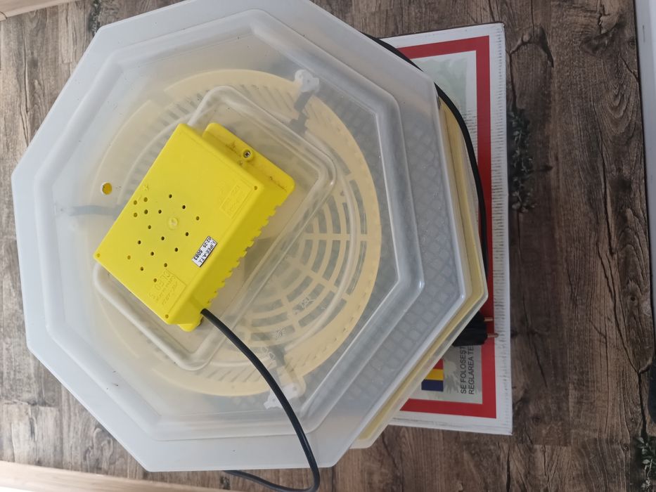 Vand incubator  pentru ouă