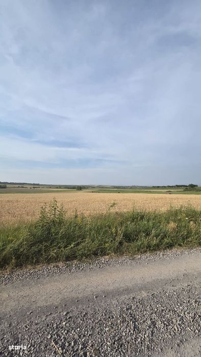 Teren intravilan de vanzare – Viile Satu Mare