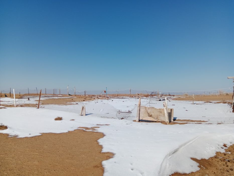 Фазенда сатылады 2000 га