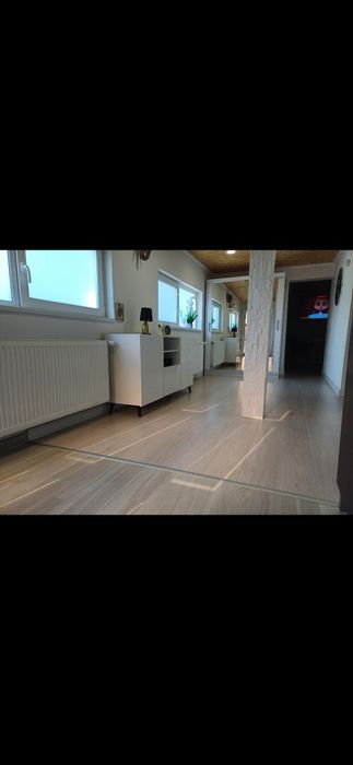 Vand casa in Petrovaselo