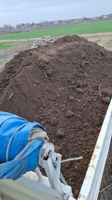 Buldoexcavator Nisip. Piatra. Pământ. Vegetal.inchiriem utilaje.