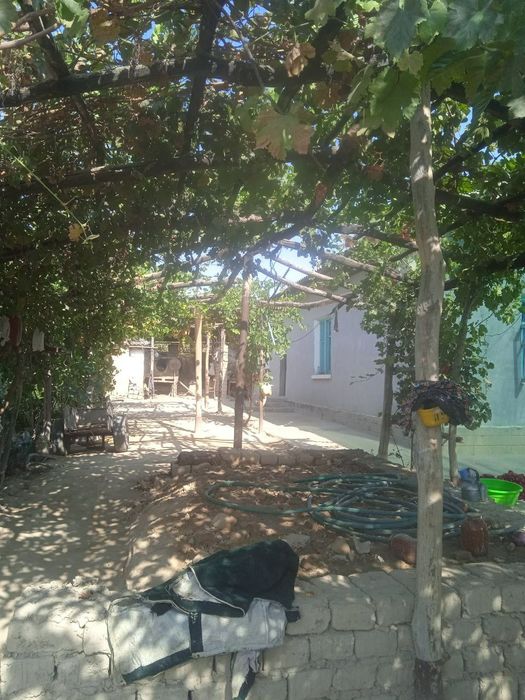 Yangiyoʻl tumani Doʻstlik MFY da joylashgan uy