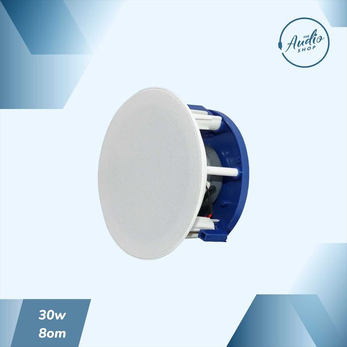 Пассивная потолочная колонка для фоновой музыки 30wat