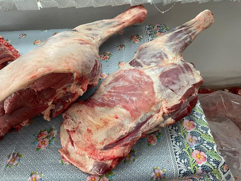 Продам мясо конина