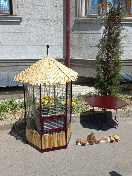 Валер Кафас кушлар учун