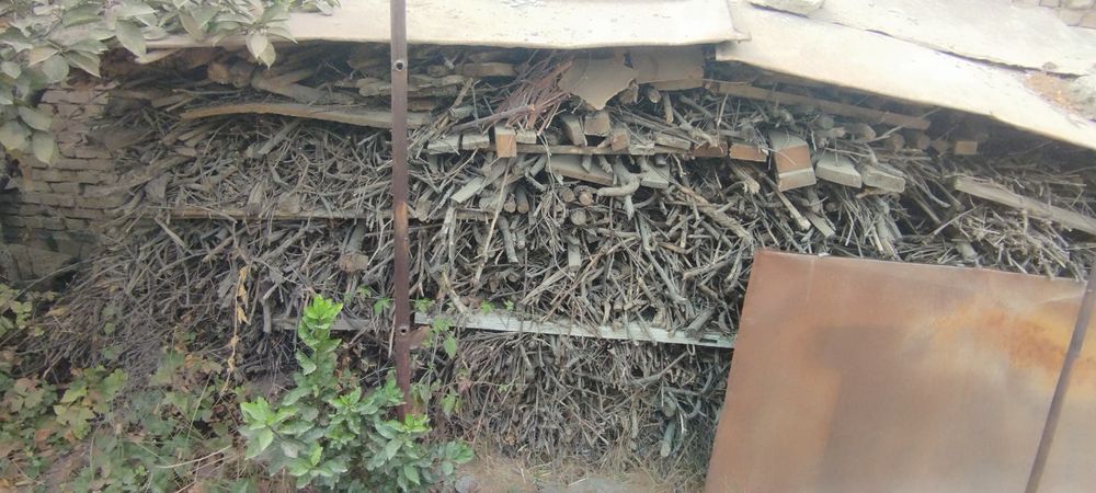 Отинлар сотилади нархи келишилади