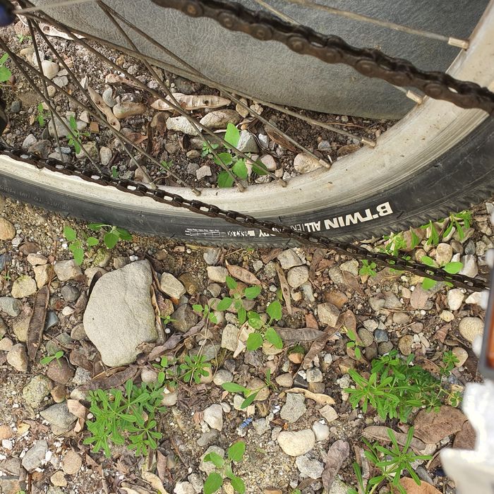 Vând biciclete și diverse.