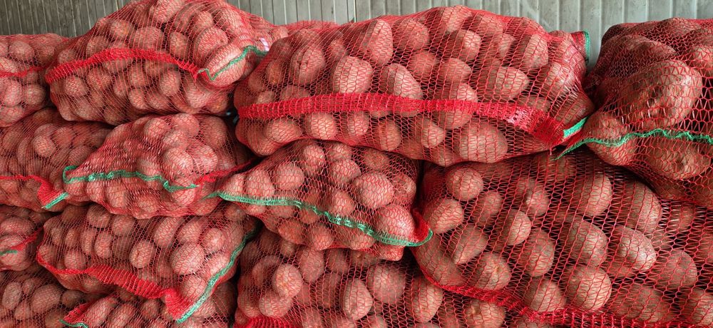 Vând  cartofi de consum ,sămânță și animale