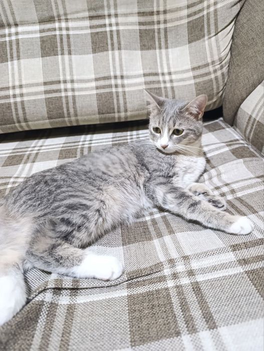 Девочке очень нужен дом!