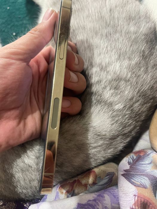 iPhone 12pro gold 73% 128Gb