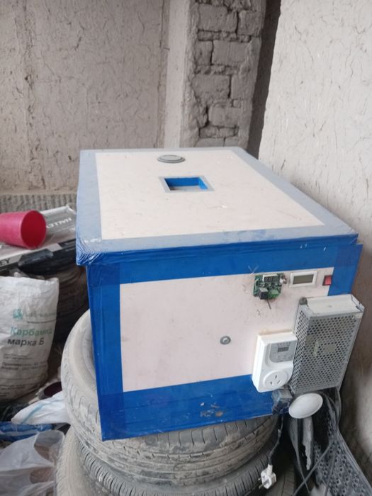 Inkubator 95 ta kovuq tuxum ketadi