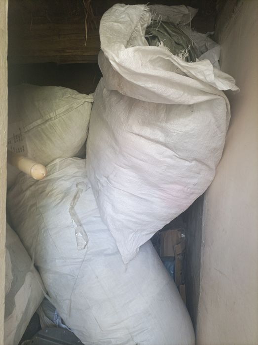 Продам мишок балшой kotta qoplar bor
