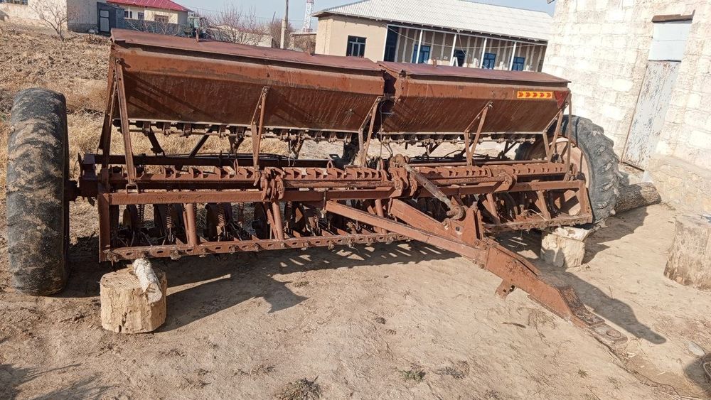 G'alla selka yaxshi holatda