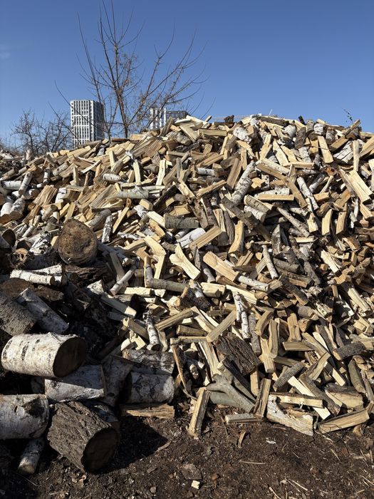 Отын жарылган ак кайын