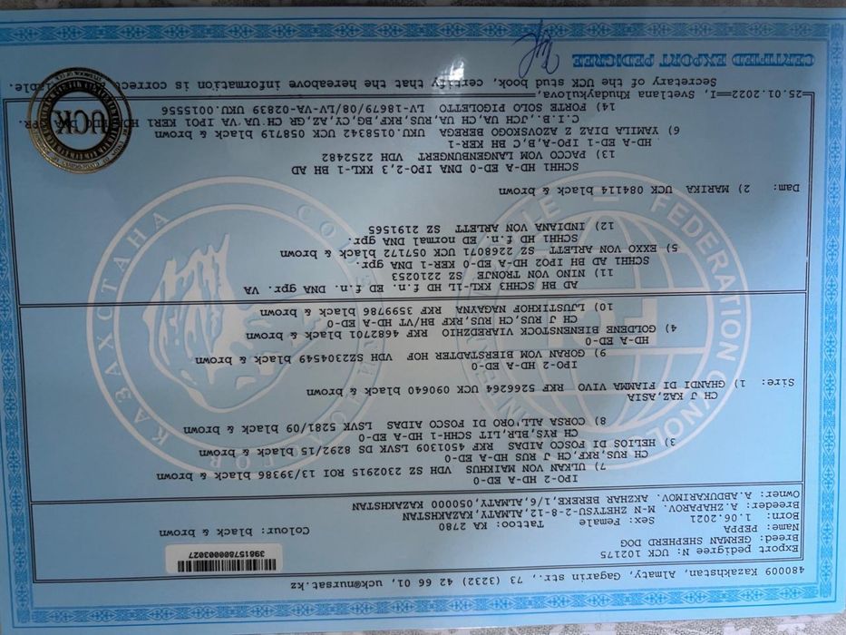 Щенки немецкой овчарки