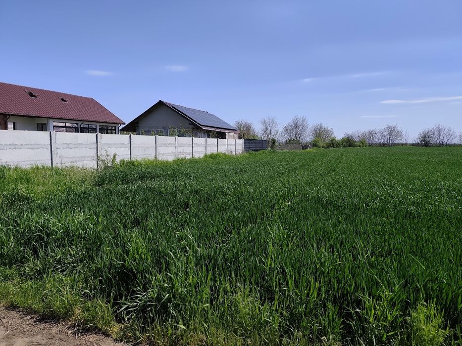 Teren de vanzare 2500 mp, Martacesti, Braila